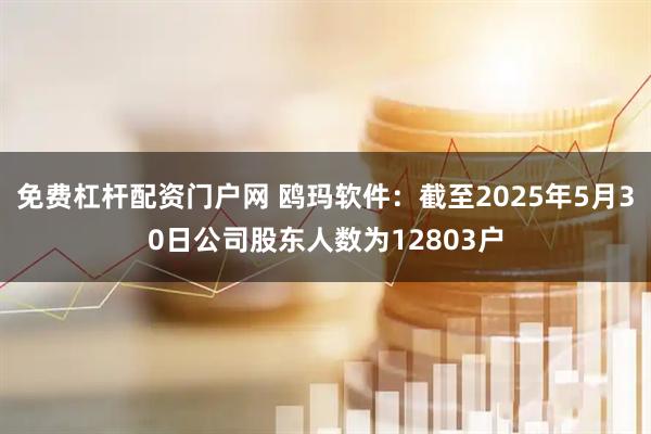 免费杠杆配资门户网 鸥玛软件：截至2025年5月30日公司股东人数为12803户